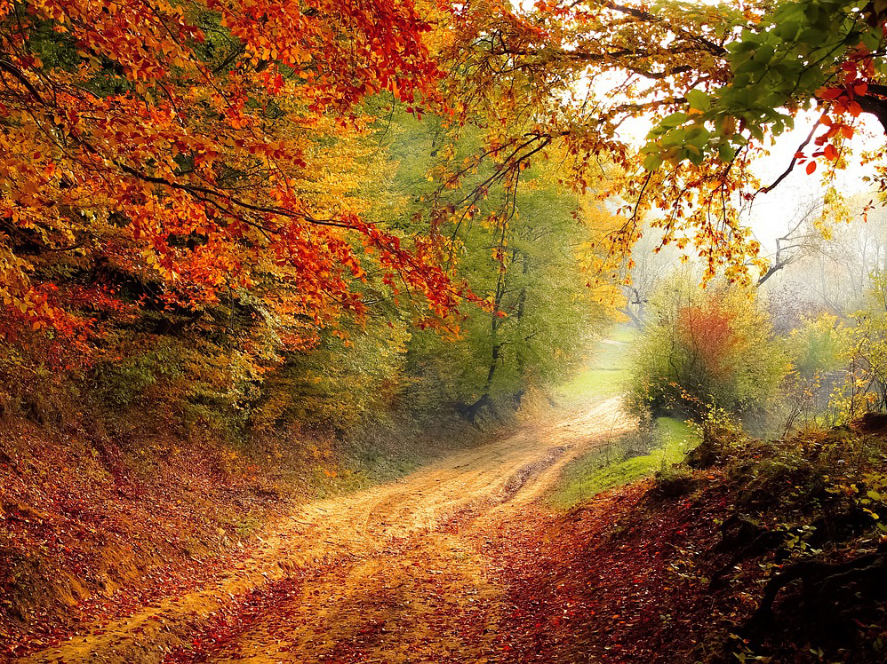 HERBSTZEIT ist VERWÖHNZEIT (Angebot für Paare)*