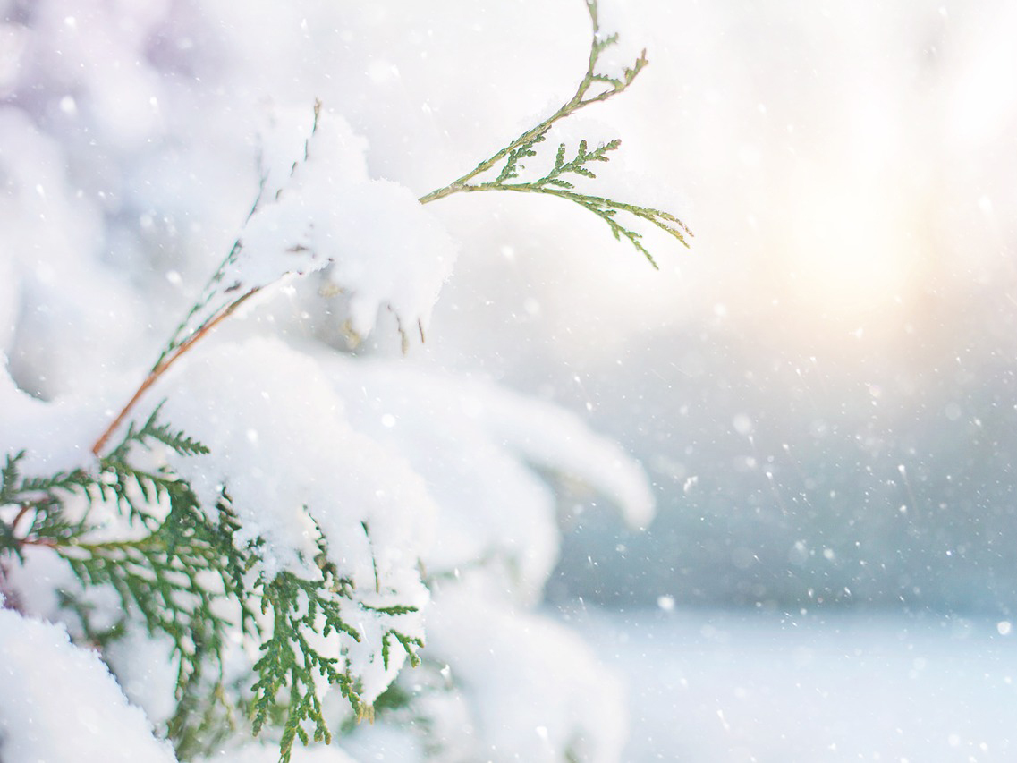 WINTERZAUBER - warme Heilmoorpackung und Massage 40 *